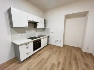 Pronájem bytu 2+1, Praha - Žižkov, Zelenky-Hajského, 70 m2