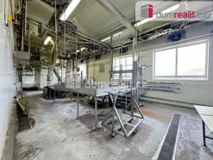 Pronájem výrobních prostor, Vimperk - Vimperk III, Špidrova, 22351 m2
