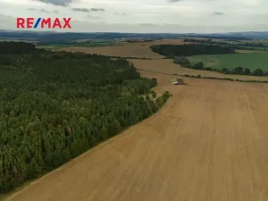 Prodej lesa, Všehrdy, 35057 m2