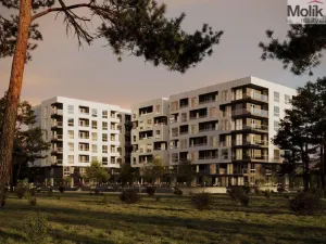 Prodej bytu 2+kk, Golem, 63 m2