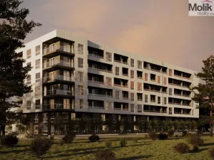 Prodej bytu 1+kk, Golem, 47 m2