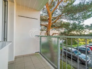 Pronájem bytu 3+1, Kralupy nad Vltavou - Mikovice, 28. října, 64 m2