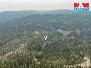 Prodej lesa, Hůrky, 6294 m2