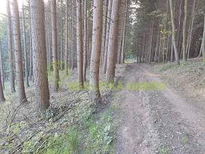 Prodej lesa, Zlín, 152613 m2