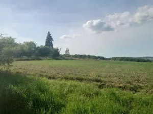 Prodej pozemku pro bydlení, Rokycany, Tymákovská, 12831 m2