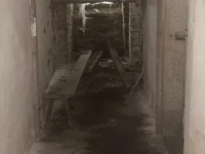 Prodej rodinného domu, Dolní Podluží, 250 m2