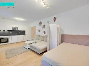 Pronájem bytu 1+kk, Šumperk, Bludovská, 37 m2