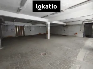 Pronájem skladu, Chomutov, 1244 m2
