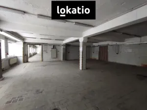 Pronájem skladu, Chomutov, 1244 m2