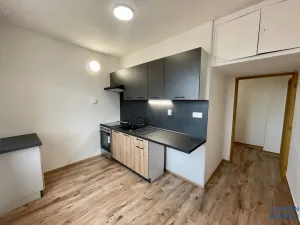 Pronájem bytu 2+1, Jirkov, Karla Čapka, 51 m2