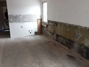 Dražba bytu 2+kk, Dolní Podluží, 67 m2