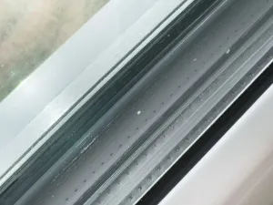 Pronájem rodinného domu, Poděbrady, 98 m2