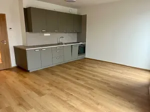 Pronájem bytu 1+kk, České Budějovice, Dobrovodská, 33 m2