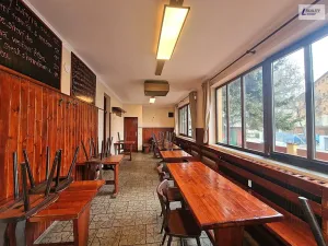 Pronájem obchodního prostoru, Praha - Kobylisy, Střelničná, 54 m2