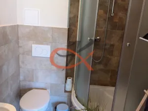 Pronájem bytu 1+kk, Rožnov pod Radhoštěm, Polanského, 50 m2