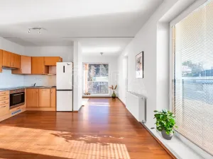 Prodej bytu 1+kk, Kařez, 45 m2