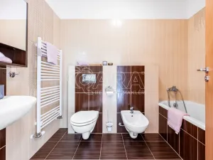 Prodej bytu 1+kk, Kařez, 45 m2