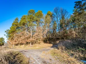 Prodej bytu 1+kk, Kařez, 45 m2