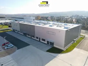 Pronájem výrobních prostor, Řepov, 874 m2