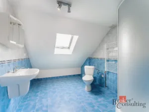 Prodej rodinného domu, Žehušice, Na Kopečku, 240 m2