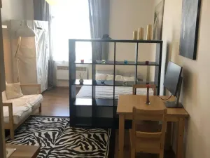 Pronájem bytu 1+kk, Praha - Žižkov, Hartigova, 22 m2