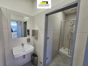 Pronájem skladu, Řepov, 1690 m2