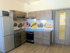 Pronájem bytu 1+kk, Praha - Vršovice, Novgorodská, 30 m2