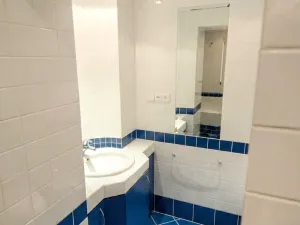 Pronájem bytu 2+1, Praha - Vinohrady, Anny Letenské, 54 m2