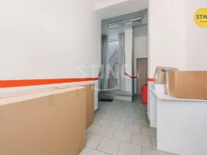 Prodej komerční nemovitosti, Svratka, Táborská, 880 m2