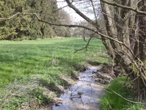 Prodej pole, Mezno - Stupčice, 8388 m2