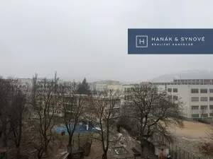 Pronájem bytu 2+1, Brno, Náplavka, 58 m2