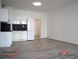 Prodej bytu 1+kk, Plzeň - Jižní Předměstí, Goldscheiderova, 39 m2