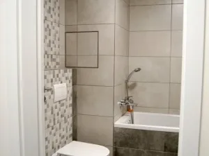 Prodej bytu 1+kk, Plzeň - Jižní Předměstí, Goldscheiderova, 39 m2