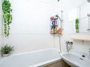 Pronájem bytu 2+1, Pardubice - Zelené Předměstí, S. K. Neumanna, 53 m2