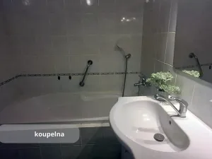 Prodej bytu 2+1, České Budějovice, J. Š. Baara, 61 m2