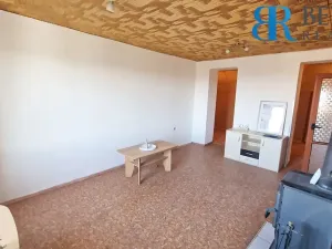Prodej bytu 1+1, Říkovice, 50 m2