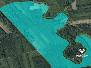 Prodej podílu lesa, Uhřičice, 2304 m2