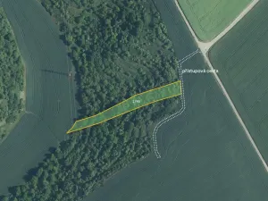 Prodej sadu/vinice, Uherčice, 2564 m2