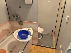 Prodej bytu 1+1, Cheb, Lesní, 36 m2