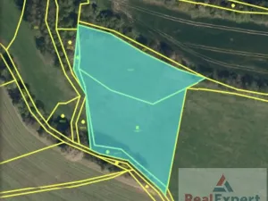 Prodej pole, Nový Rychnov, 73681 m2