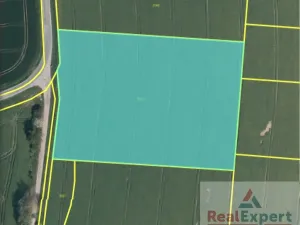 Prodej pole, Nový Rychnov, 73681 m2