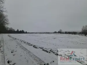 Prodej pole, Nový Rychnov, 73681 m2