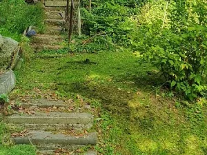 Prodej zahrady, Liberec, Kateřinská, 451 m2