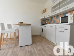 Pronájem bytu 1+kk, Chodov, Čapkova, 26 m2