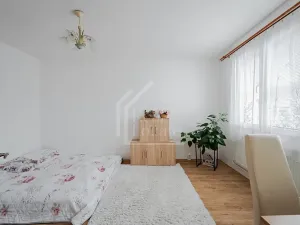 Prodej bytu 1+1, Rokycany, Pod Ohradou, 35 m2