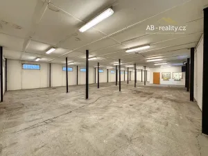 Pronájem skladu, Novosedlice, Vrchoslavská, 274 m2