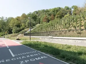 Prodej bytu 2+kk, Praha - Žižkov, Jeseniova, 63 m2