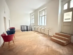 Pronájem obchodního prostoru, Praha - Nové Město, Na Zderaze, 300 m2