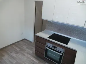 Pronájem bytu 2+1, Most, Petra Jilemnického, 56 m2