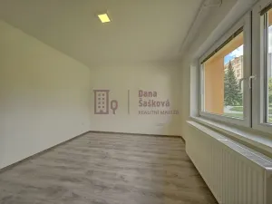 Pronájem bytu 3+kk, Jindřichův Hradec, sídliště Vajgar, 44 m2